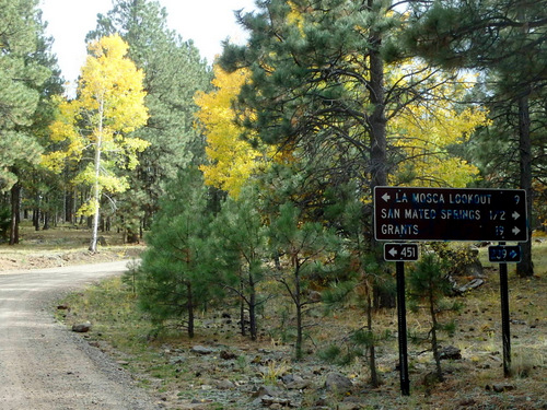 GDMBR: The sign indicates 1/2 mile to San Mateo Spring and 19 miles to tomorrow’s destination of Grants.